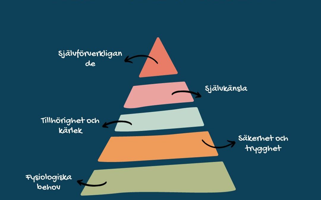 Varför är det bra att bygga från grunden?